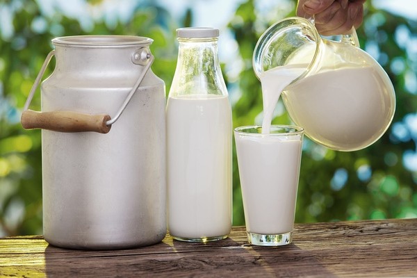 Uống sữa mỗi ngày giúp giảm cân